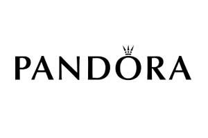 Pandora - Elite Security Essex Client